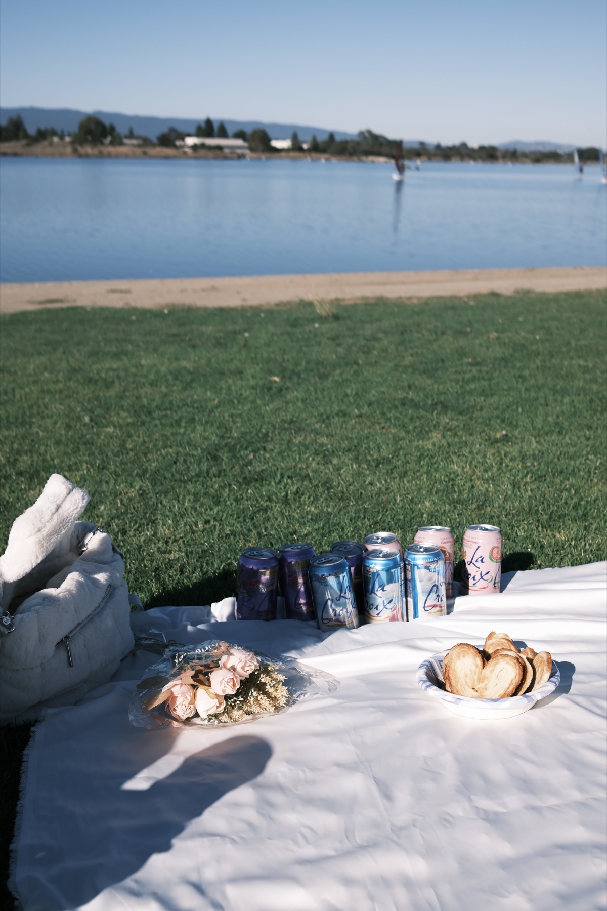 Picnic setup by the lake for the first AIC gathering.